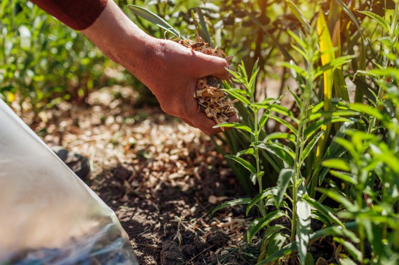 Fall Mulching