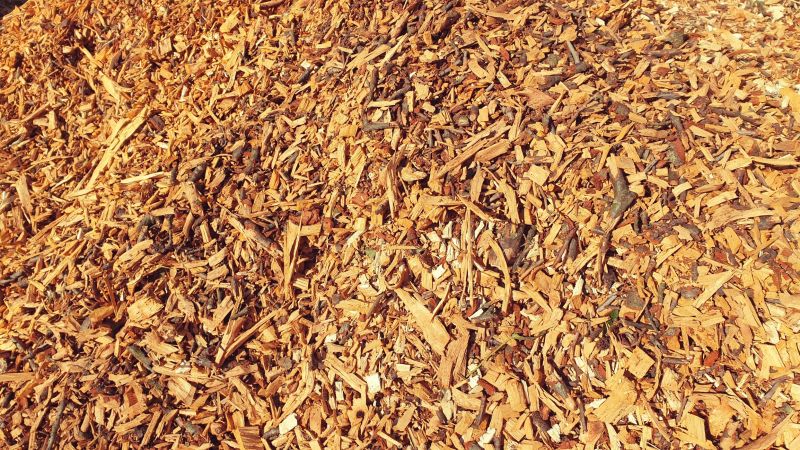 Wood Chippings Mulch