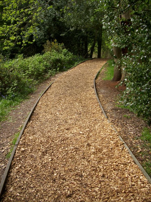 Wood Chippings on Garden Path