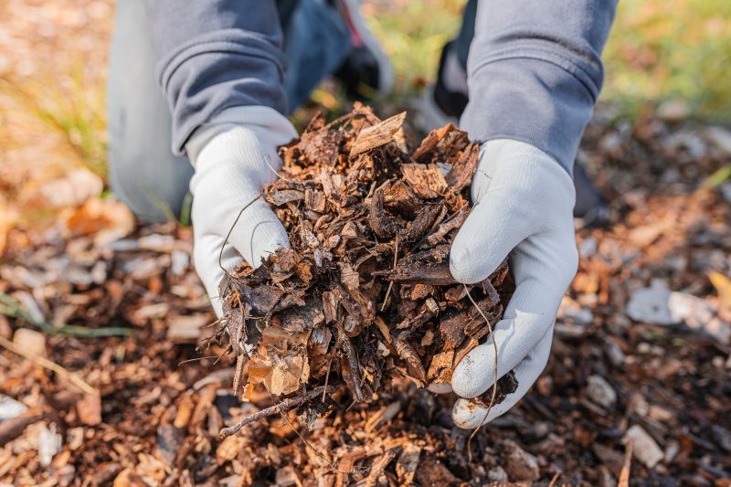 Applying Mulch in Autumn
