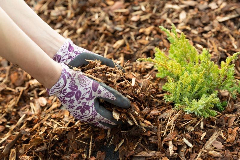 Mulched Garden Bed with Wood Chippings