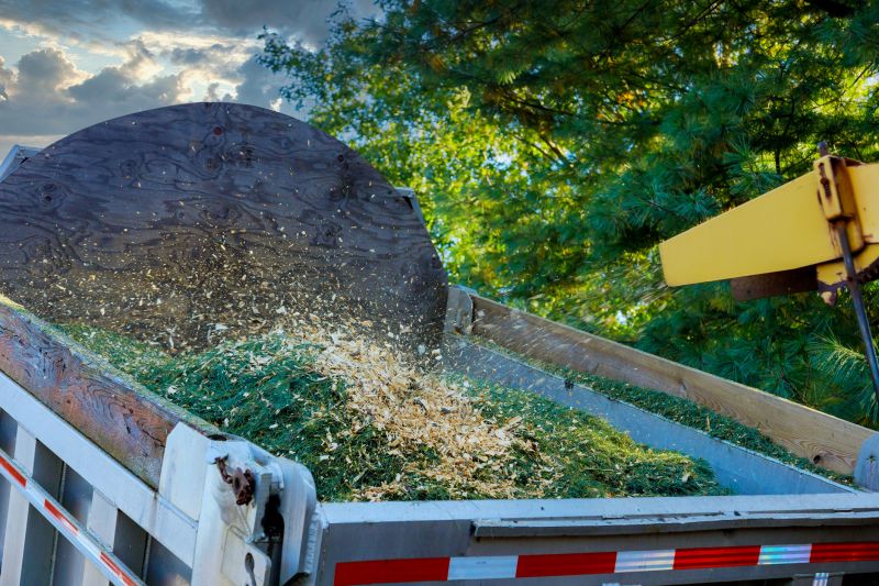 Increase Your Wood Chipping Business with an AI Driven, Targeted Website